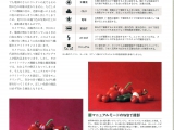 08_Magazine series of articles縲悟｣ｲ繧後ｋ蜀咏悄陦薙・03-3 .jpg